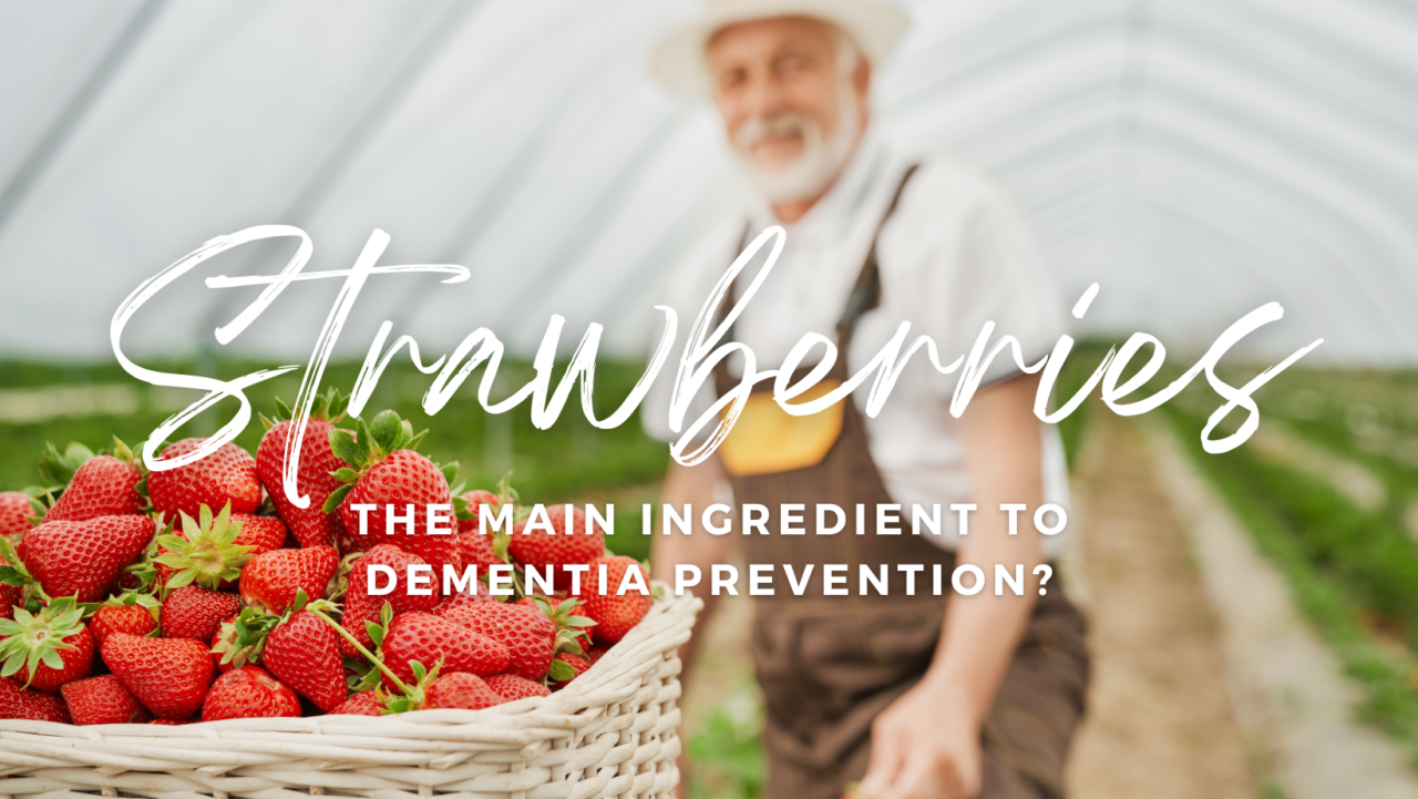 Strawberries The Main Ingredient To Dementia Prevention Oakwood